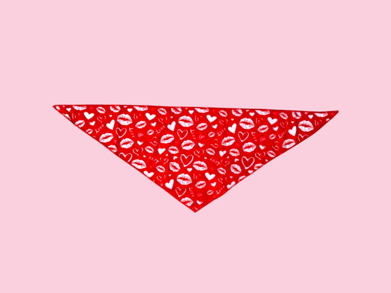 AW Pets- Valentine Pet Bandana