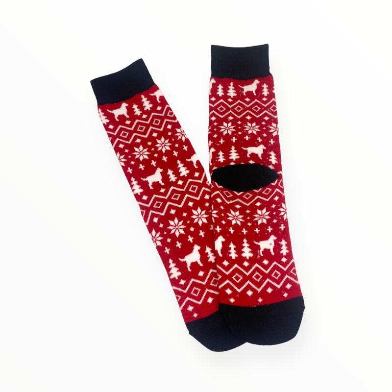 AW Pets - Pet & Owner Socks (High Quality) / Calcetines para Mascotas y Dueños