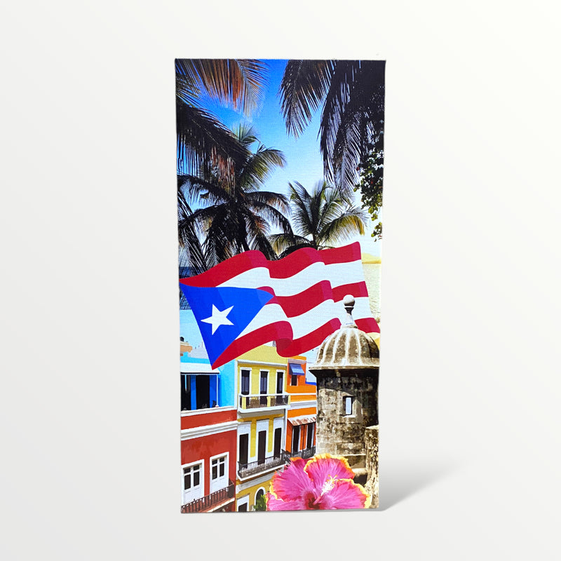 Souvenir from Puerto Rico - Large Canvas Painting