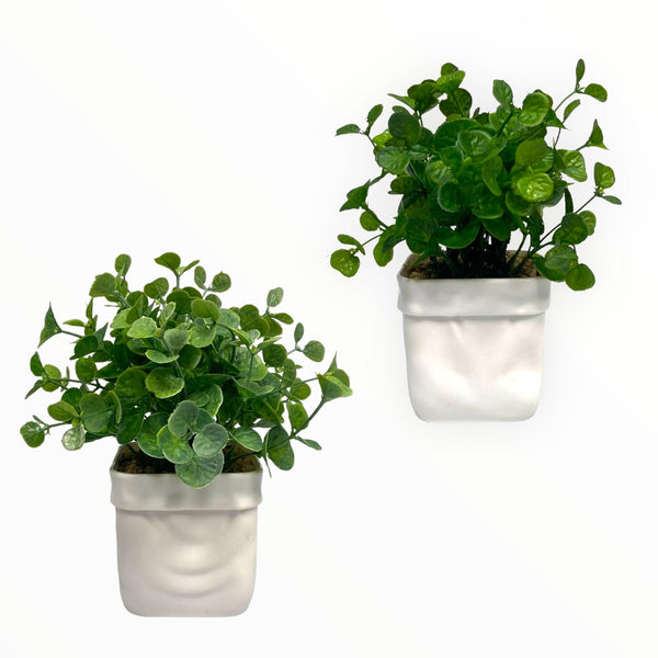 Plantas Artificiales Decorativas - Tamaño Normal / Tiesto Plástico Minimalista