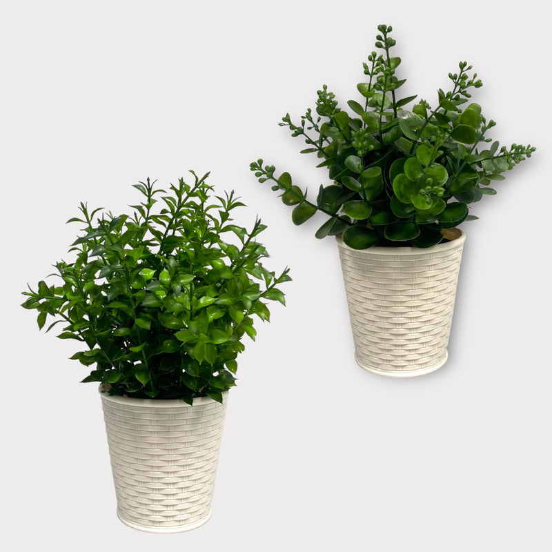 Plantas Artificiales Decorativas - Tamaño Normal / Tiesto Plástico Blanco