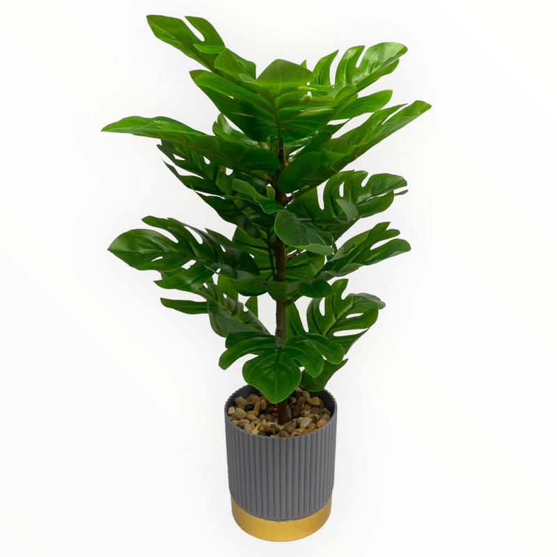 Plantas Artificiales Decorativas - Tiesto Gris con Franja Oro