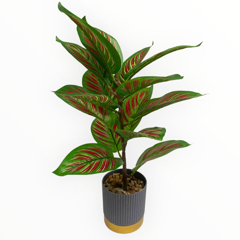 Plantas Artificiales Decorativas - Tiesto Gris con Franja Oro