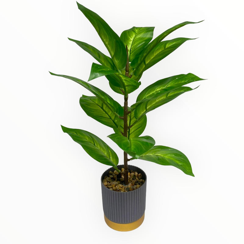 Plantas Artificiales Decorativas - Tiesto Gris con Franja Oro