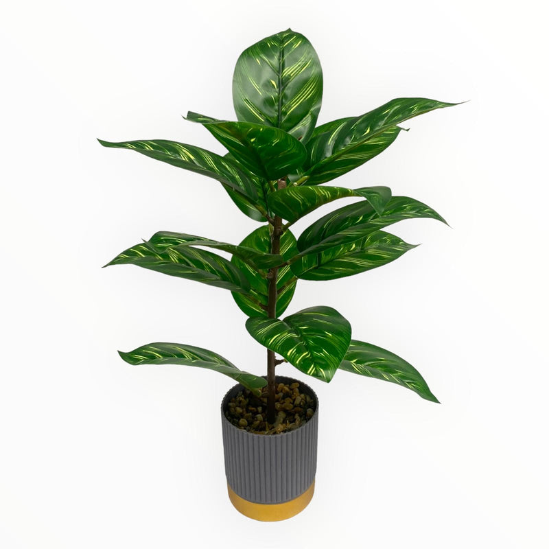 Plantas Artificiales Decorativas - Tiesto Gris con Franja Oro