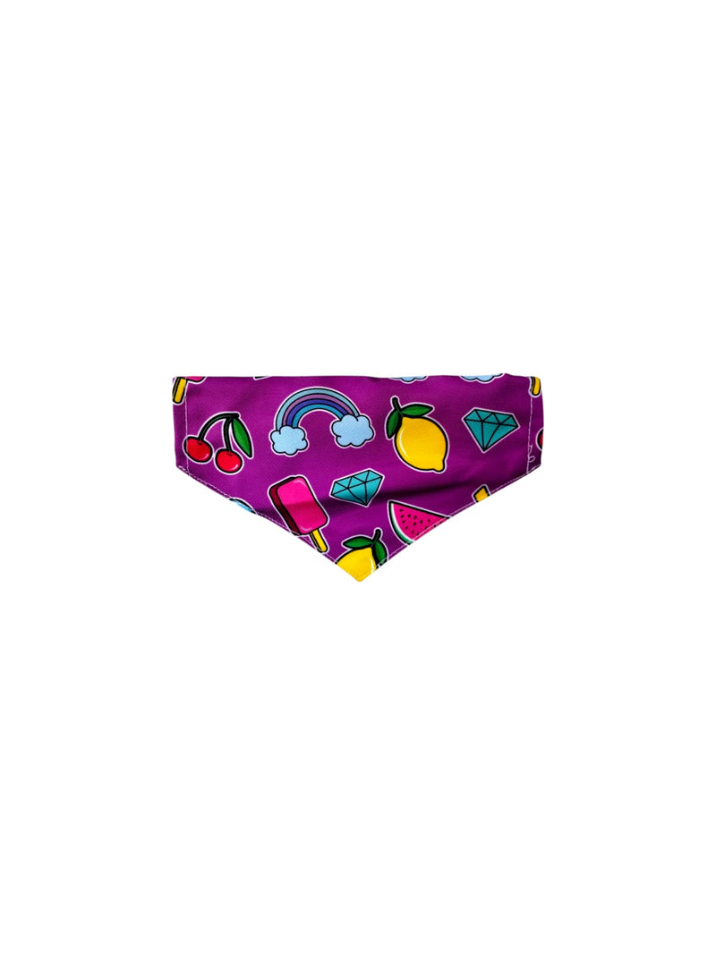 AW Pets- Pet Bandana