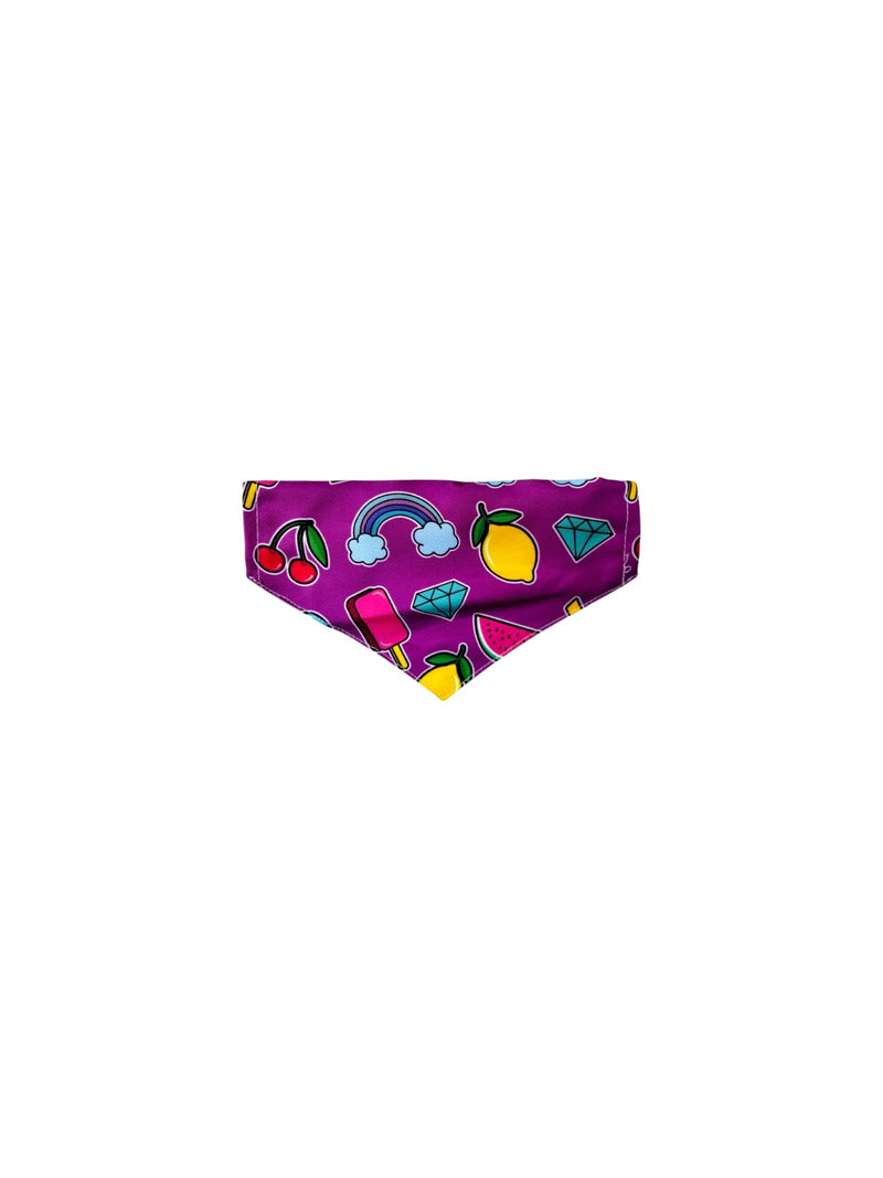 AW Pets- Pet Bandana