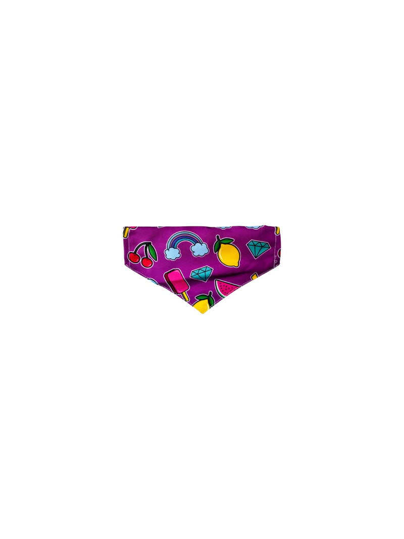 AW Pets- Pet Bandana