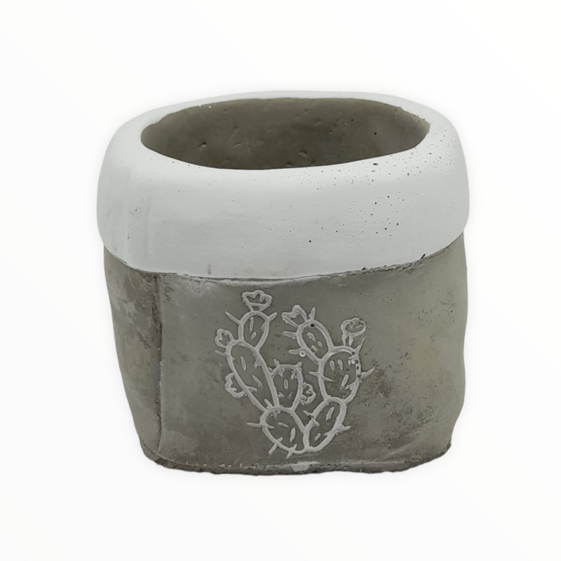 Cement Flower Pot (2 Estilos).