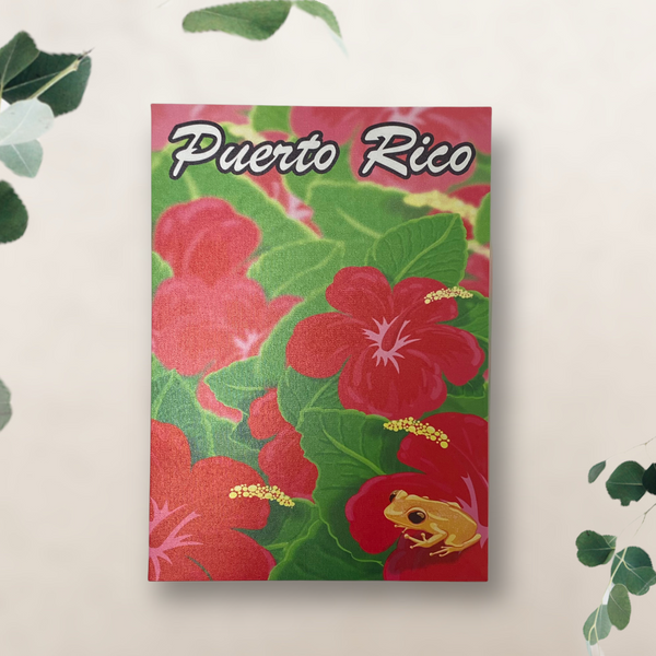 Souvenir de Puerto Rico - Cuadros Decorativos.